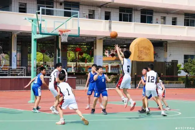 为什么篮球教练的经验很重要_1