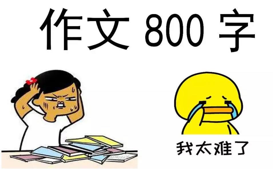 如何借助专业篮球教练提升个人声誉_0