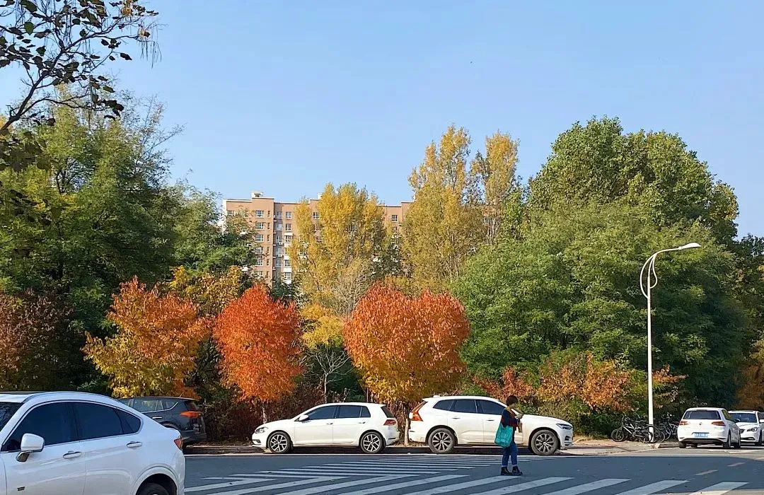 _0